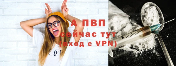 гашик Инта