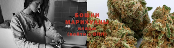 шишки Иннополис