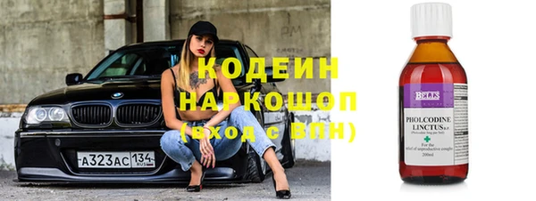 гашик Инта