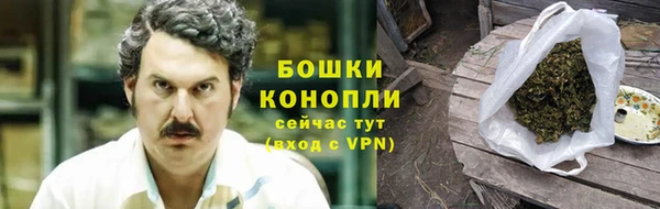 шишки Иннополис