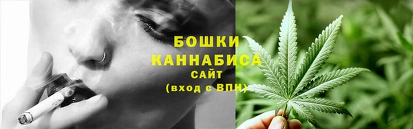 спиды Инсар