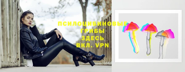 гашик Инта