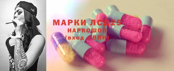 гашик Инта