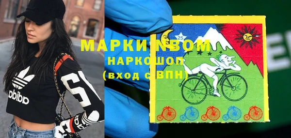 шишки Иннополис