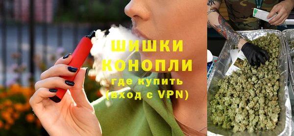 гашик Инта