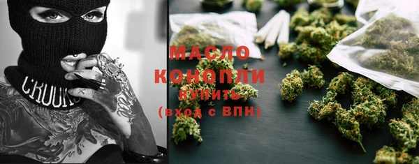 гашик Инта
